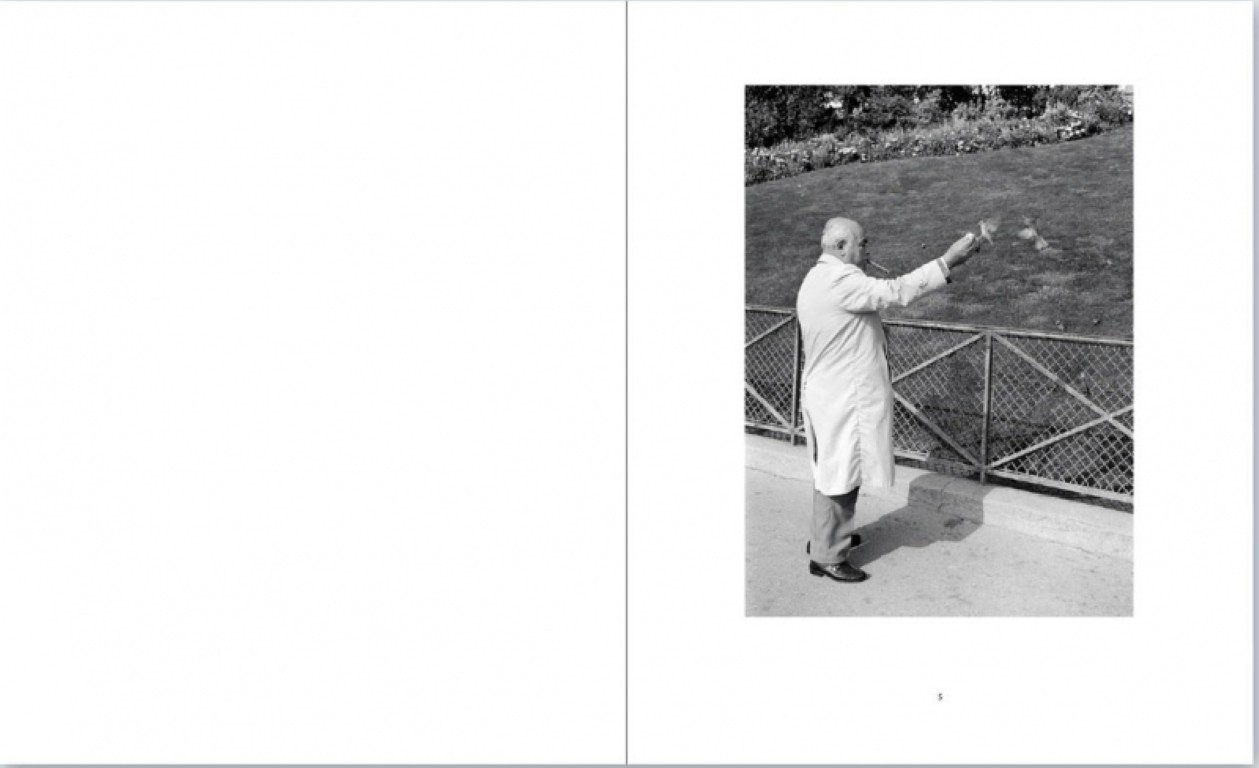 Mark Steinmetz : Paris in my time • La Nouvelle Chambre Claire