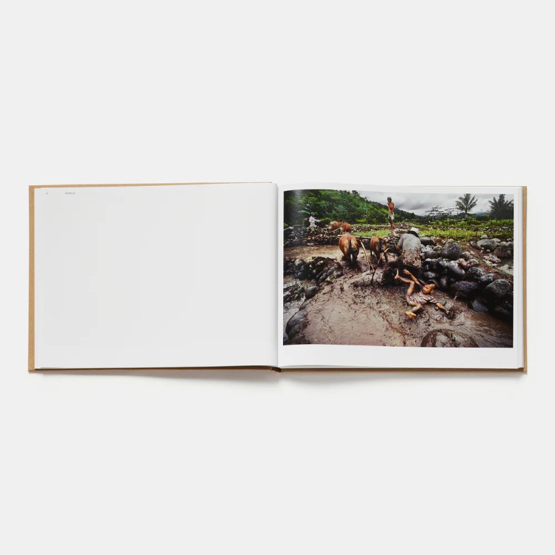 Steve McCurry : From These Hands ; A Journey Along the Coffee Trail