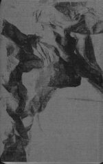 Serge Clément : Métamorphose