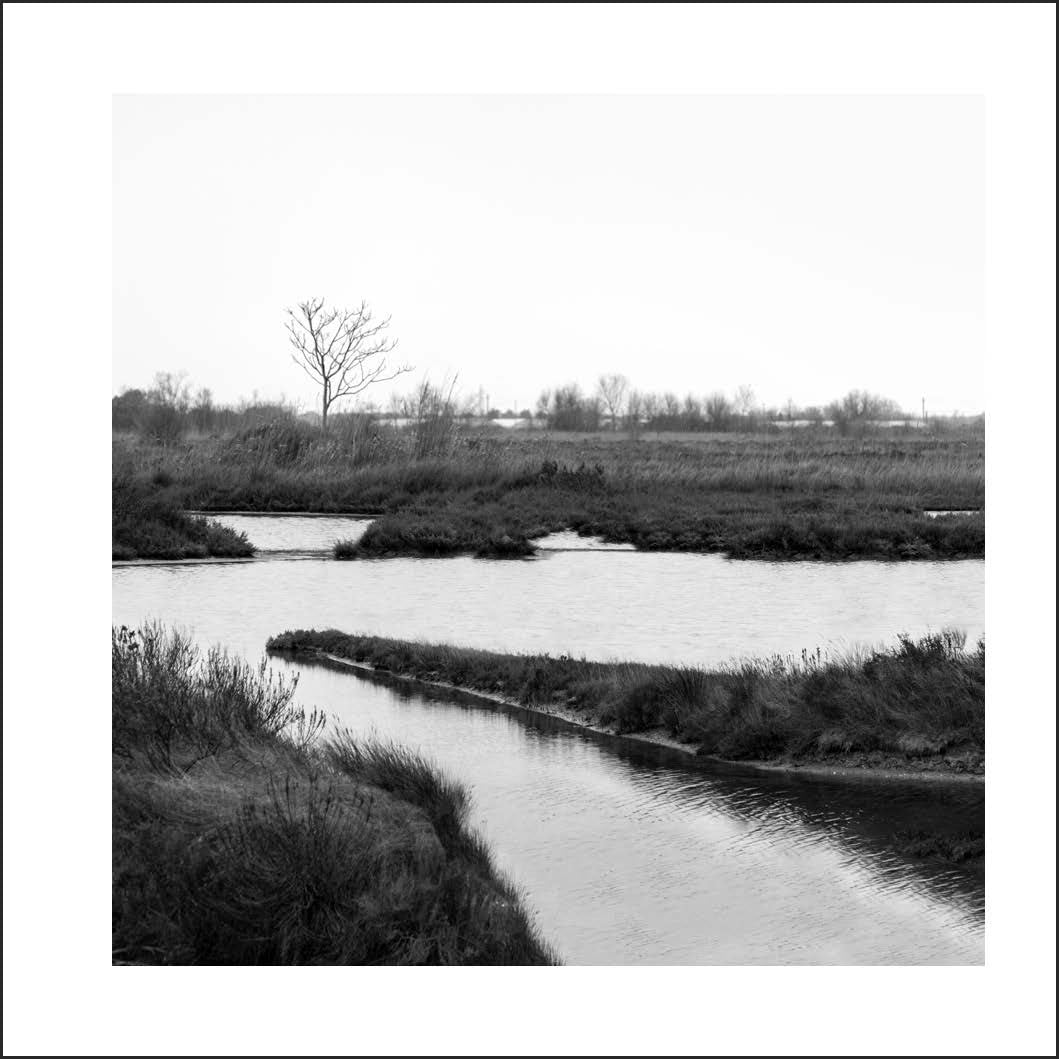 Alejandro Merizalde : Venezia ; Beyond the Icon