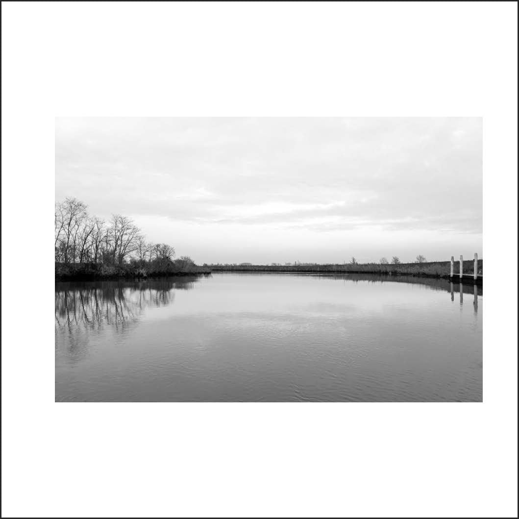 Alejandro Merizalde : Venezia ; Beyond the Icon