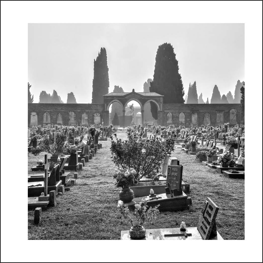 Alejandro Merizalde : Venezia ; Beyond the Icon