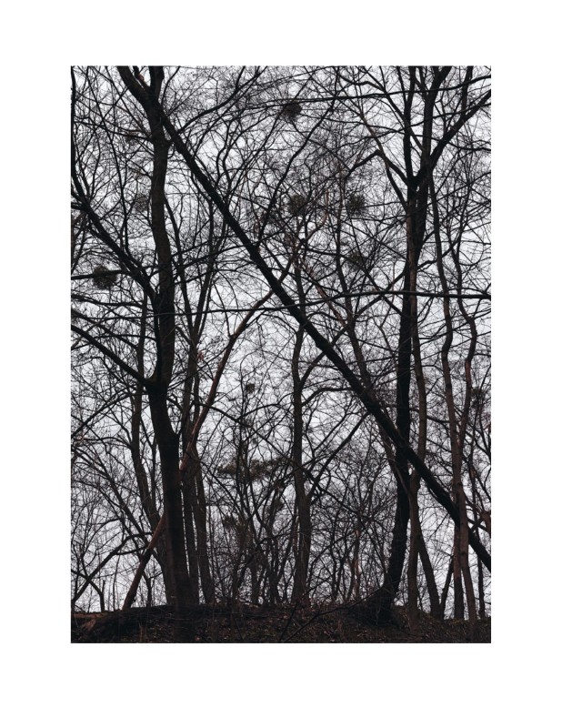 Antoine d'Agata : Un endroit inconvénient