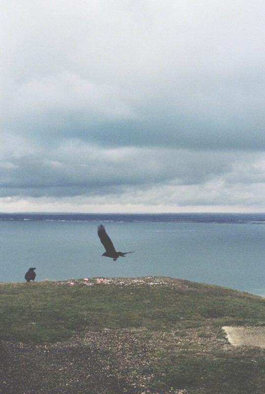 Anne-Lise Broyer : La couleur vient après