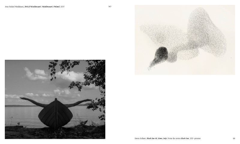 Aviary ; The Bird in Contemporary Photography