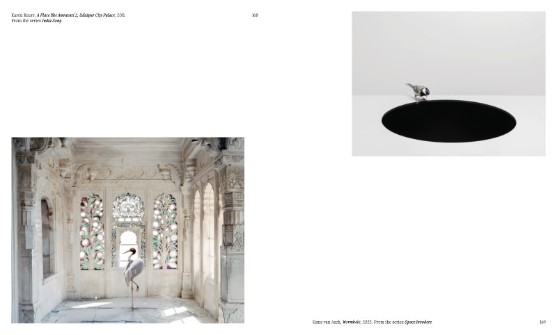 Aviary ; The Bird in Contemporary Photography