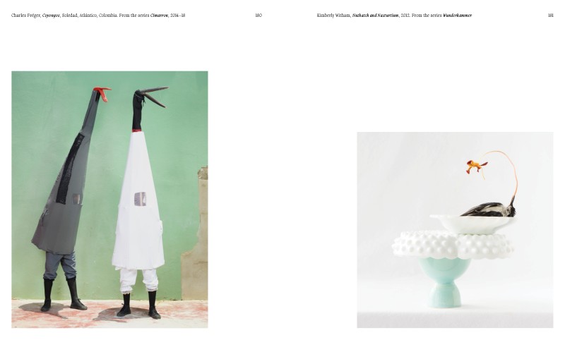 Aviary ; The Bird in Contemporary Photography