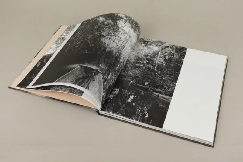 Stéphanie Pommez : The Enchanted Ones