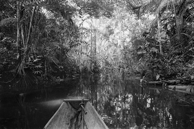 Stéphanie Pommez : The Enchanted Ones