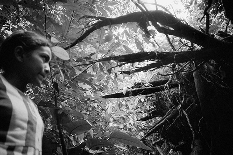 Stéphanie Pommez : The Enchanted Ones