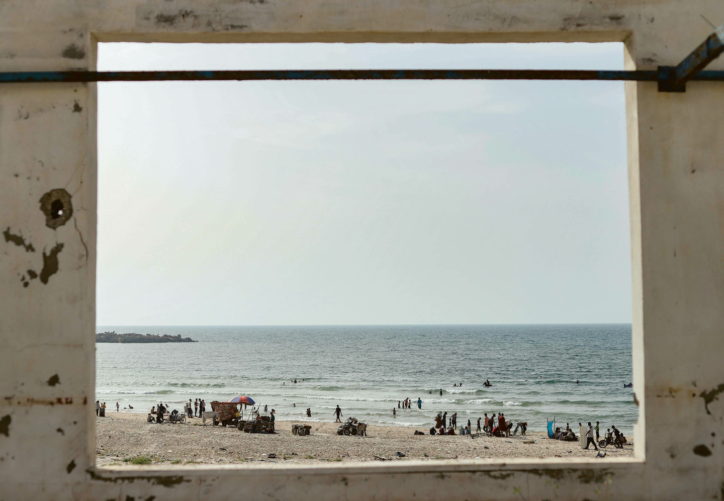 Fatma Hassona : Les Yeux de Gaza