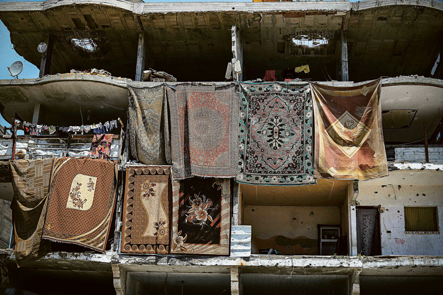 Fatma Hassona : Les Yeux de Gaza