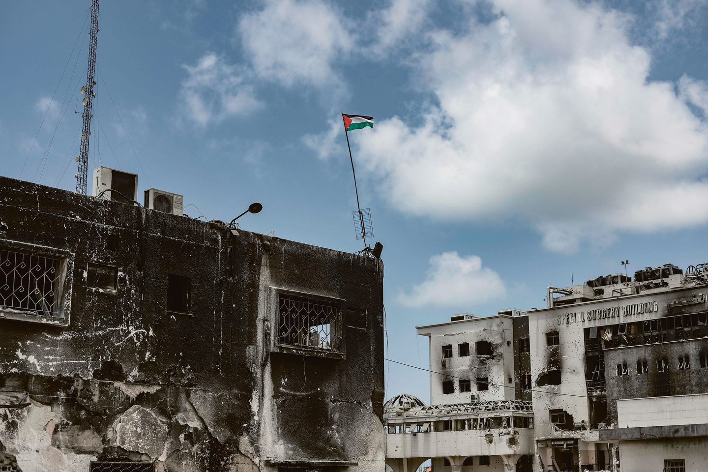 Fatma Hassona : Les Yeux de Gaza