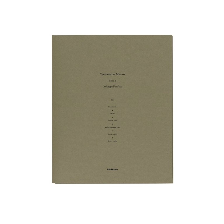 Masao Yamamoto: Collotype Portfolio ; Birds 2