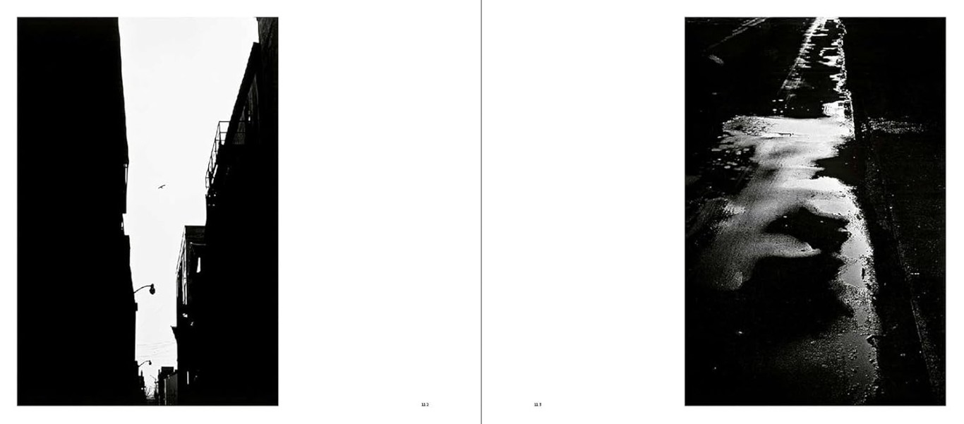 Ray K. Metzker : City Lux