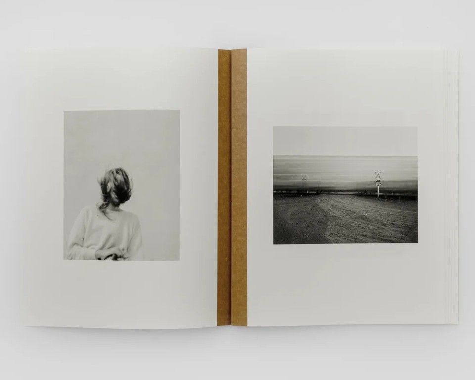 Matthew Genitempo : Mother of Dogs