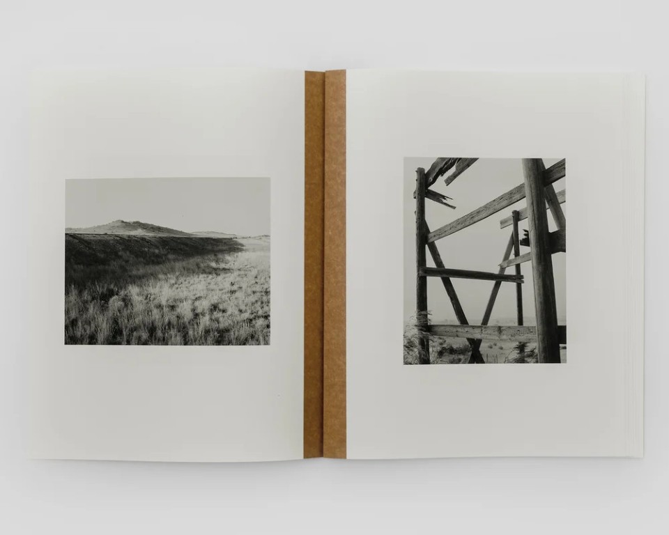 Matthew Genitempo : Mother of Dogs