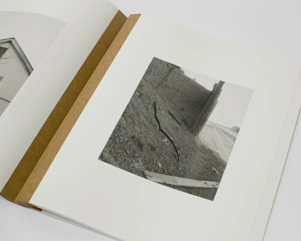 Matthew Genitempo : Mother of Dogs