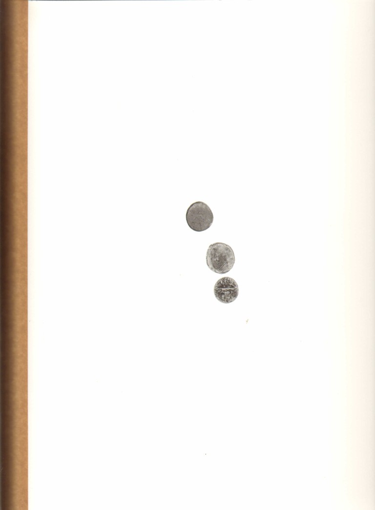 Matthew Genitempo : Mother of Dogs