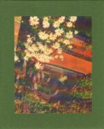 Jamie Hawkesworth : The British Isles (COLLECTOR)