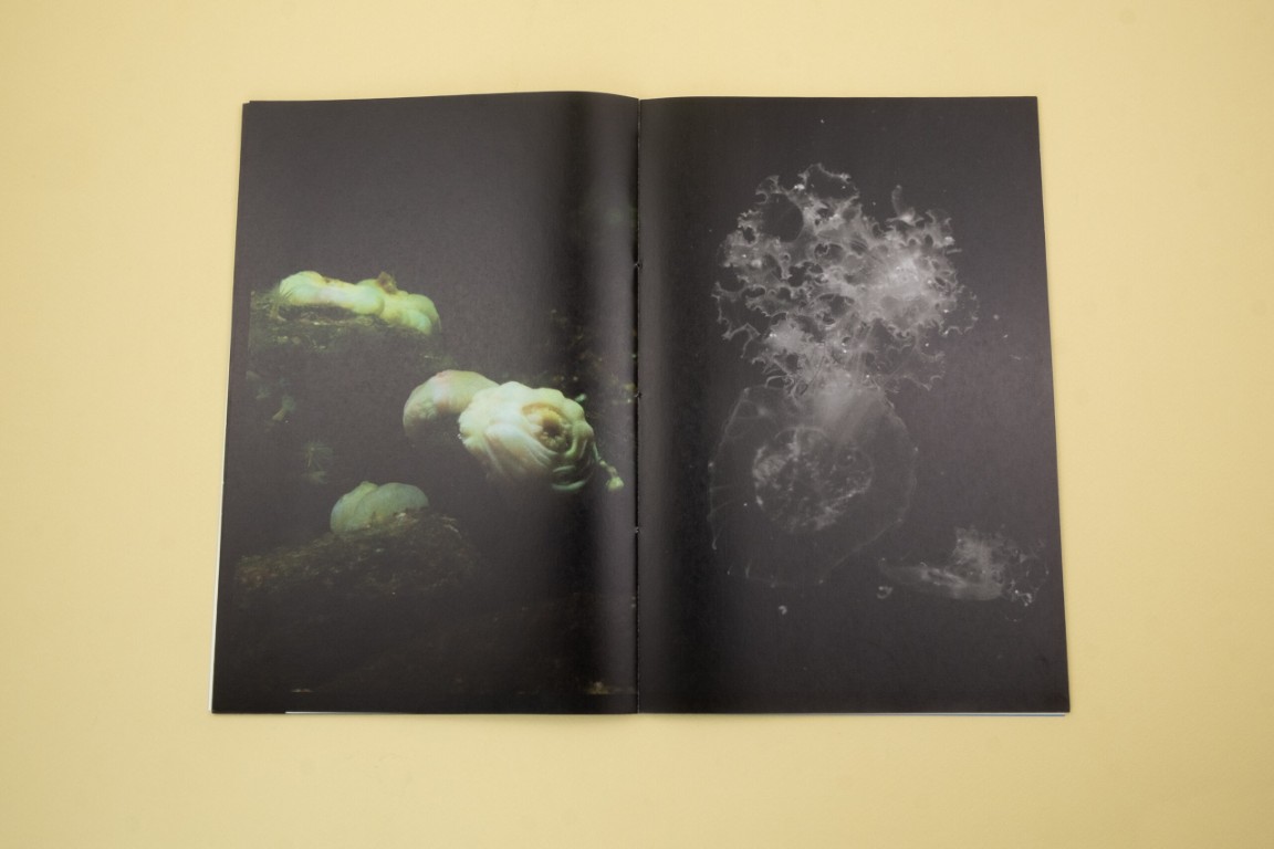 Oriane Thomasson : Atlantis (Version Française)