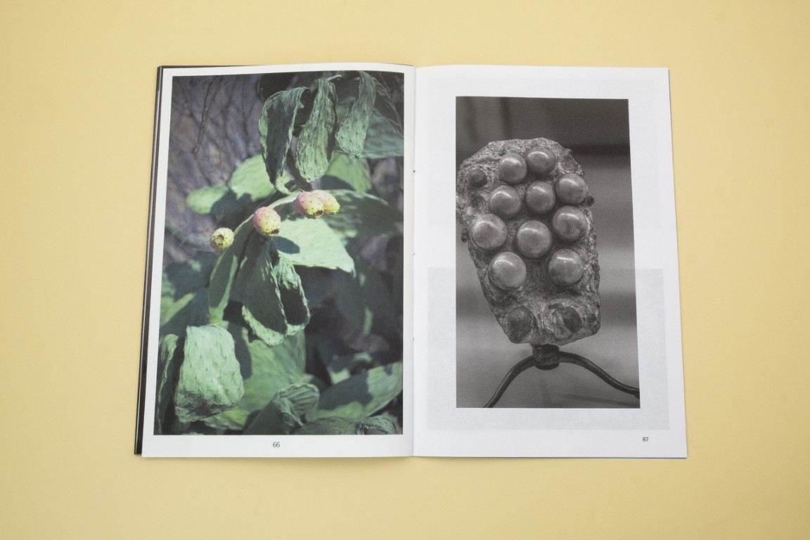 Oriane Thomasson : Atlantis (Version Française)