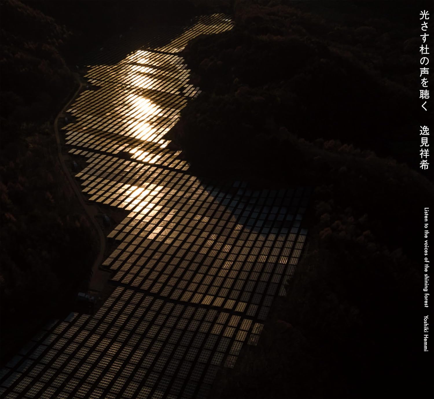 Yoshiki Hemmi : Listen to the Voices of the Shining Forest