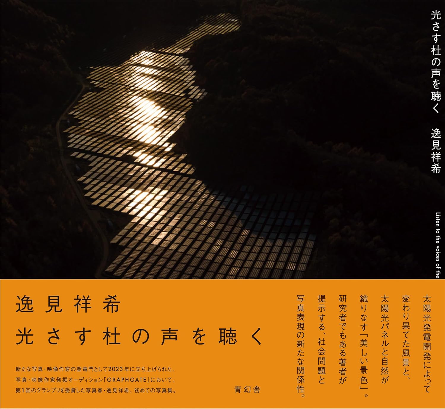 Yoshiki Hemmi : Listen to the Voices of the Shining Forest