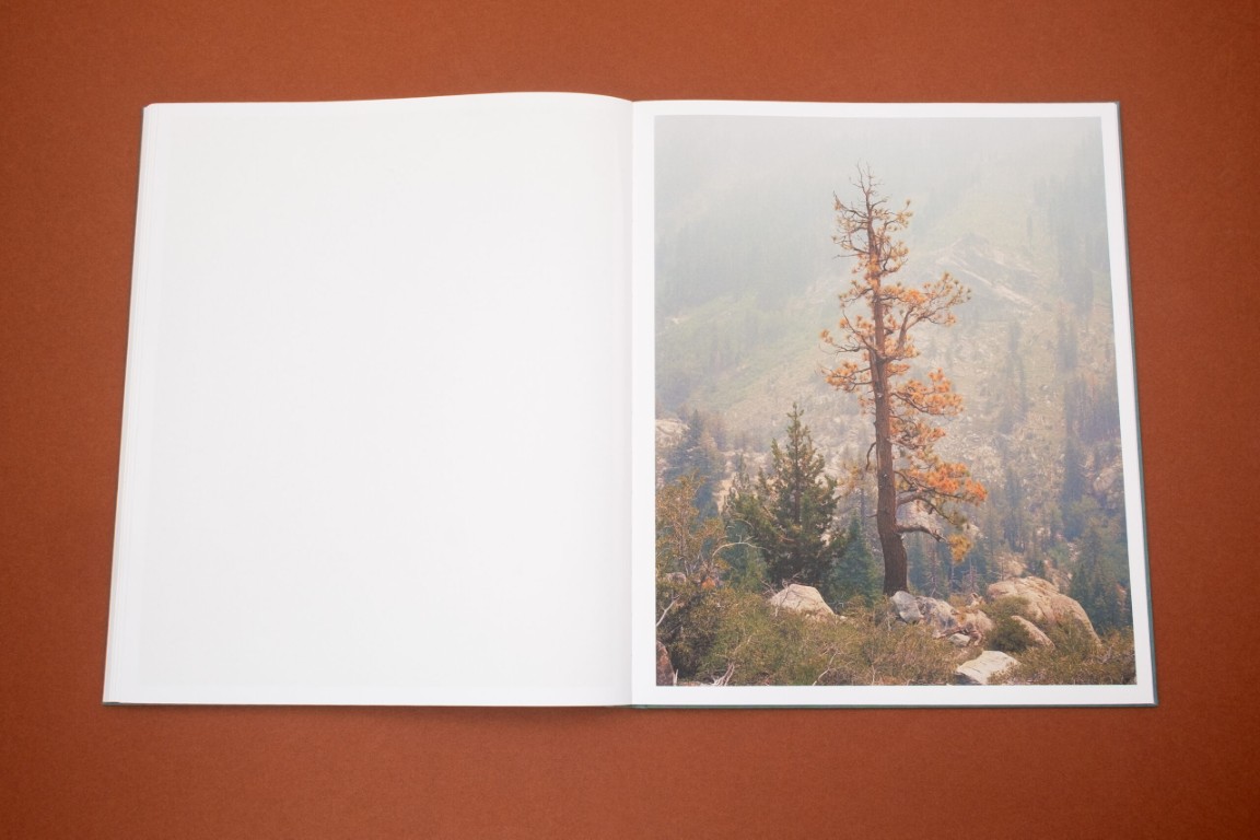 Aaron Rothman : The Sierra