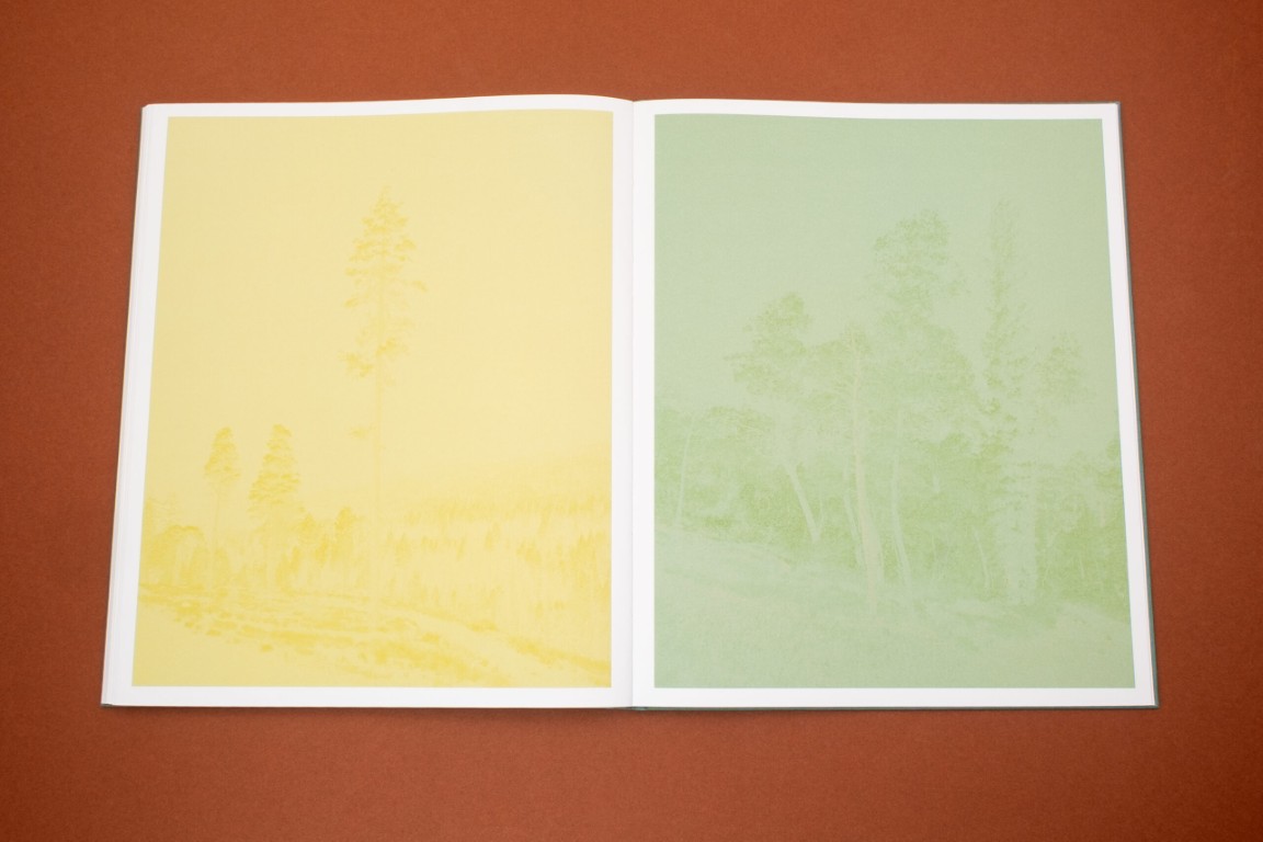 Aaron Rothman : The Sierra