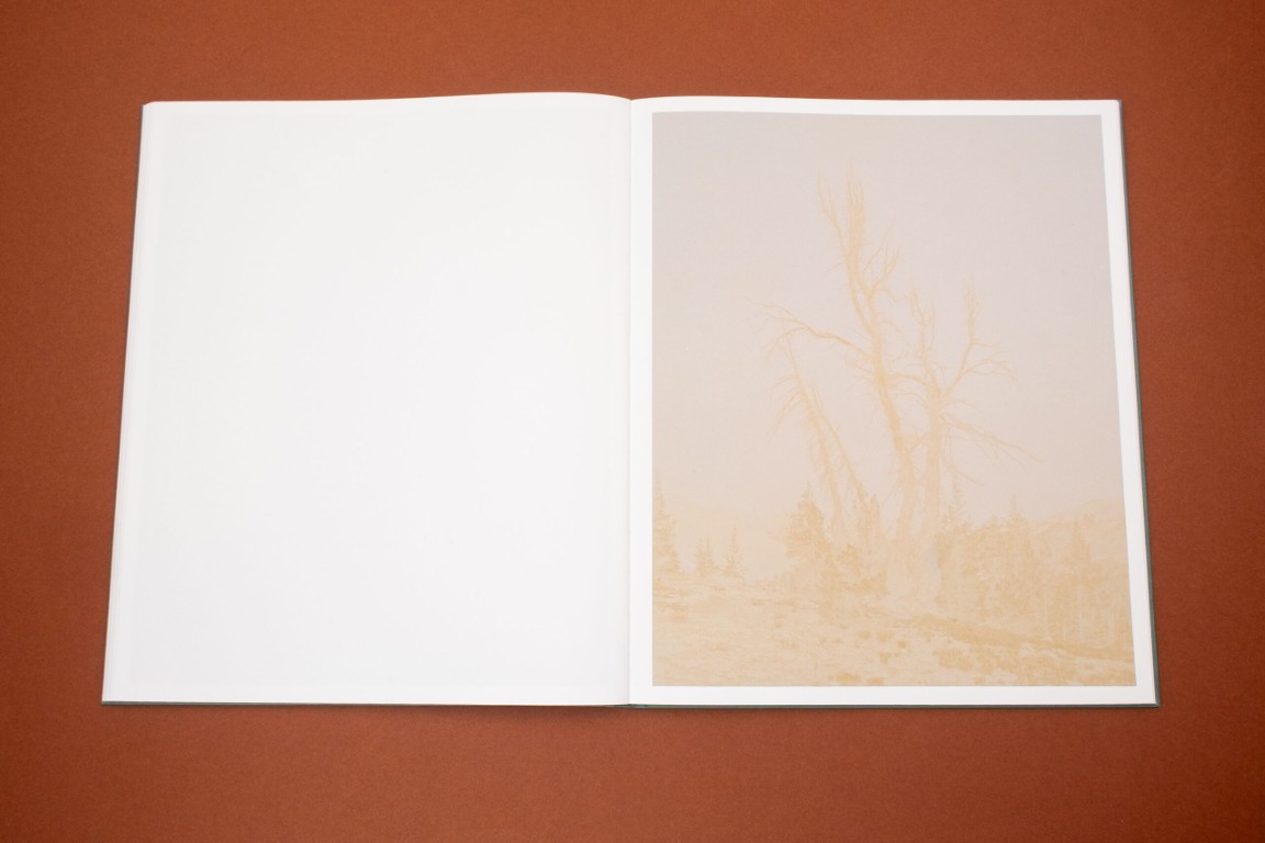 Aaron Rothman : The Sierra