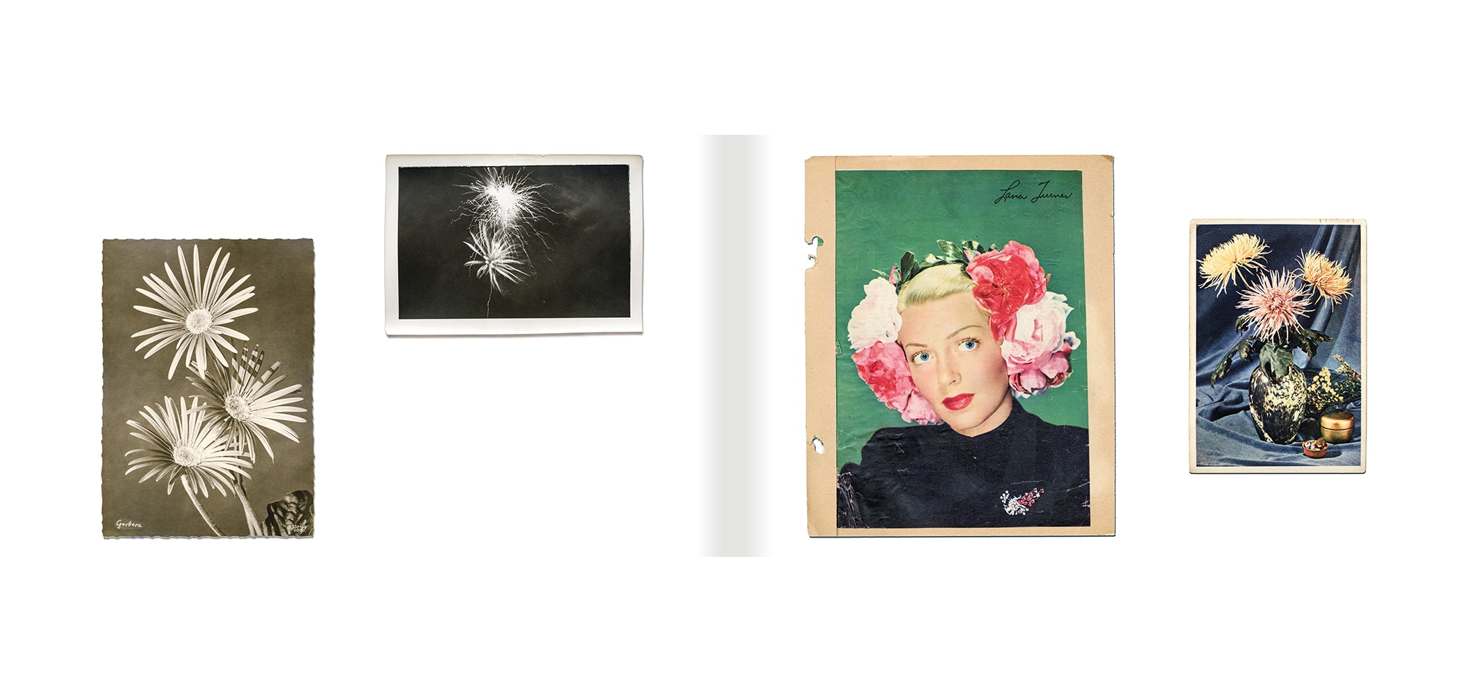 Todd Hido & Marina Luz : The Dead Are Glad to Be Remembered