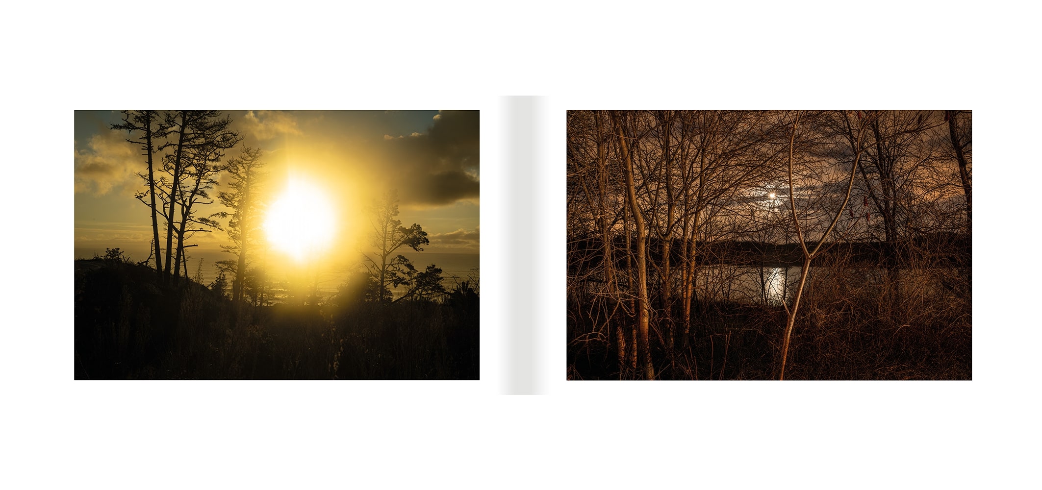 Todd Hido & Marina Luz : The Dead Are Glad to Be Remembered