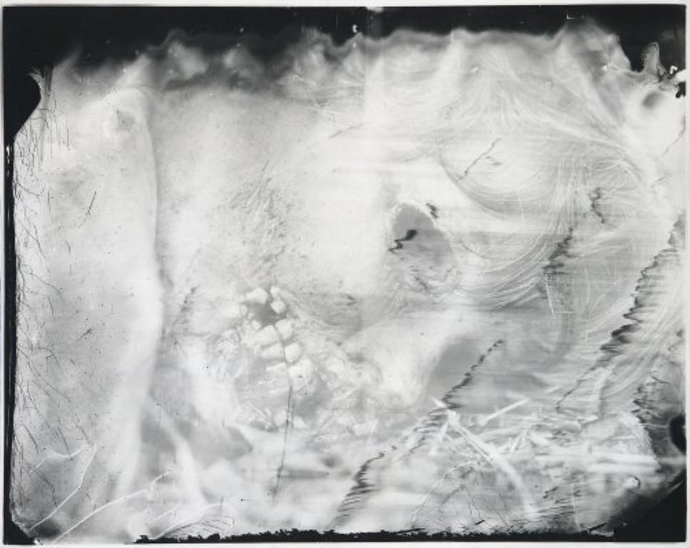 Sally Mann : The Flesh and The Spirit • La Nouvelle Chambre Claire