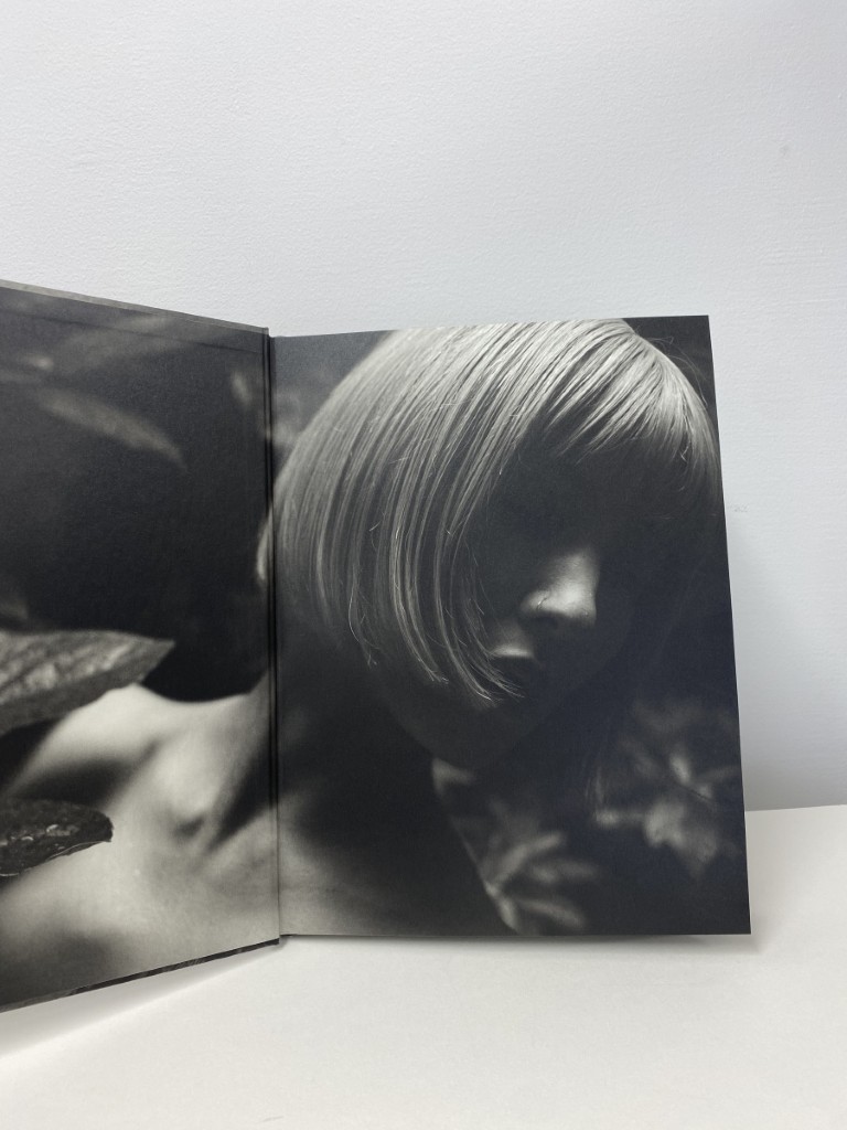 Hajime Sawatari : Hawa no Hibi