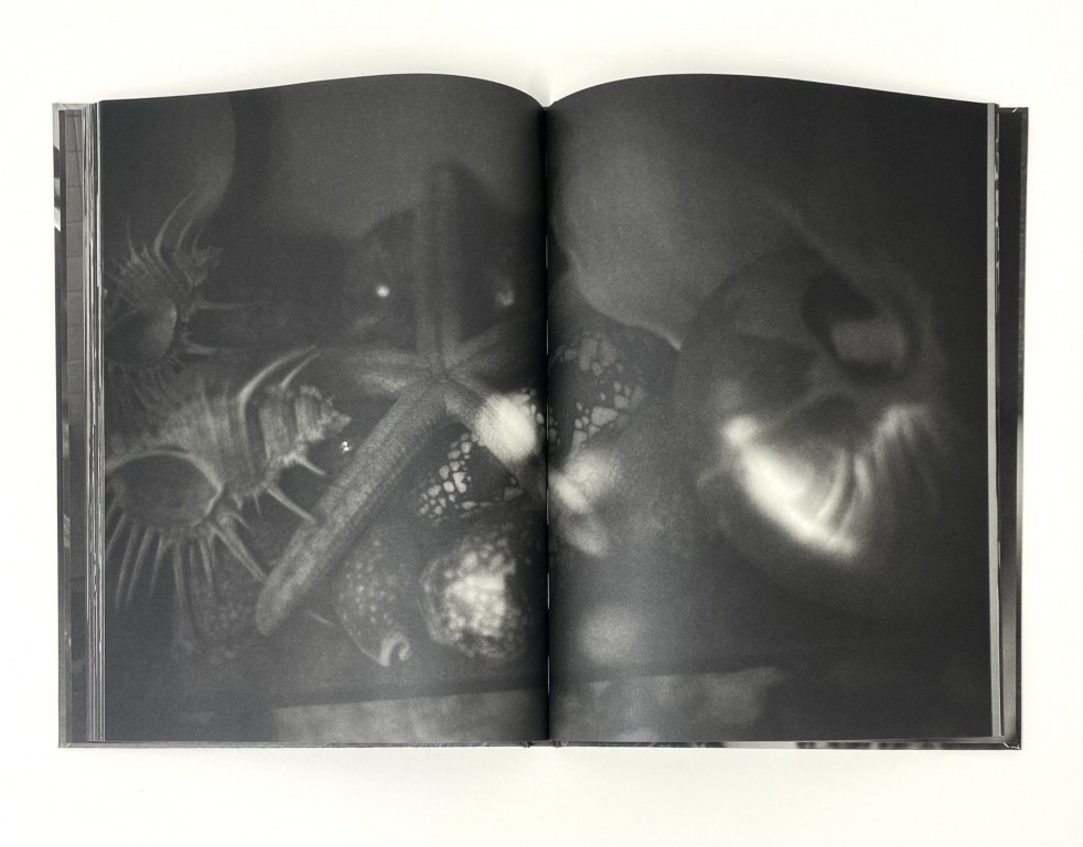 Hajime Sawatari : Hawa no Hibi