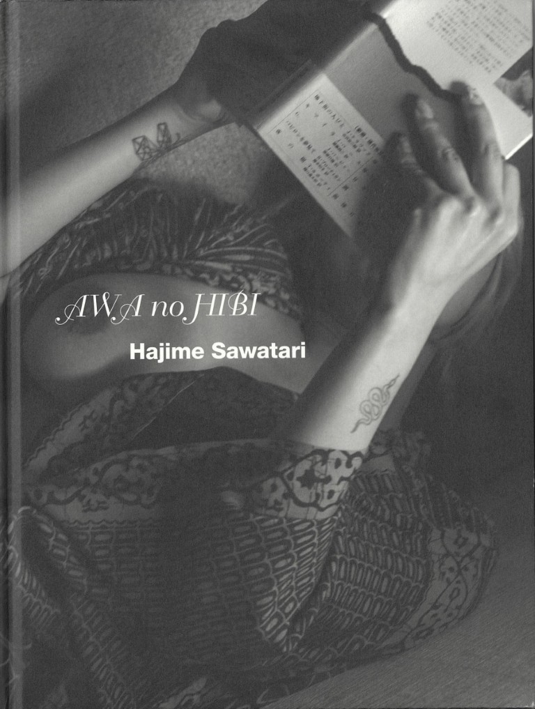 Hajime Sawatari : Hawa no Hibi