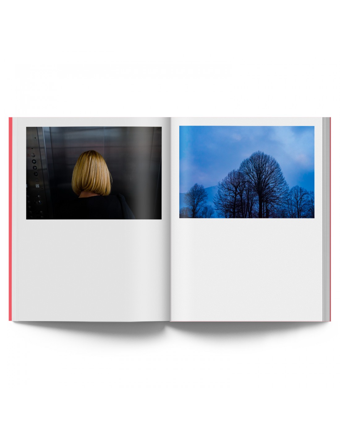 Víctor M. Pérez : In the Name of Color and Light