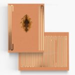 Ljubodrag Andric : India