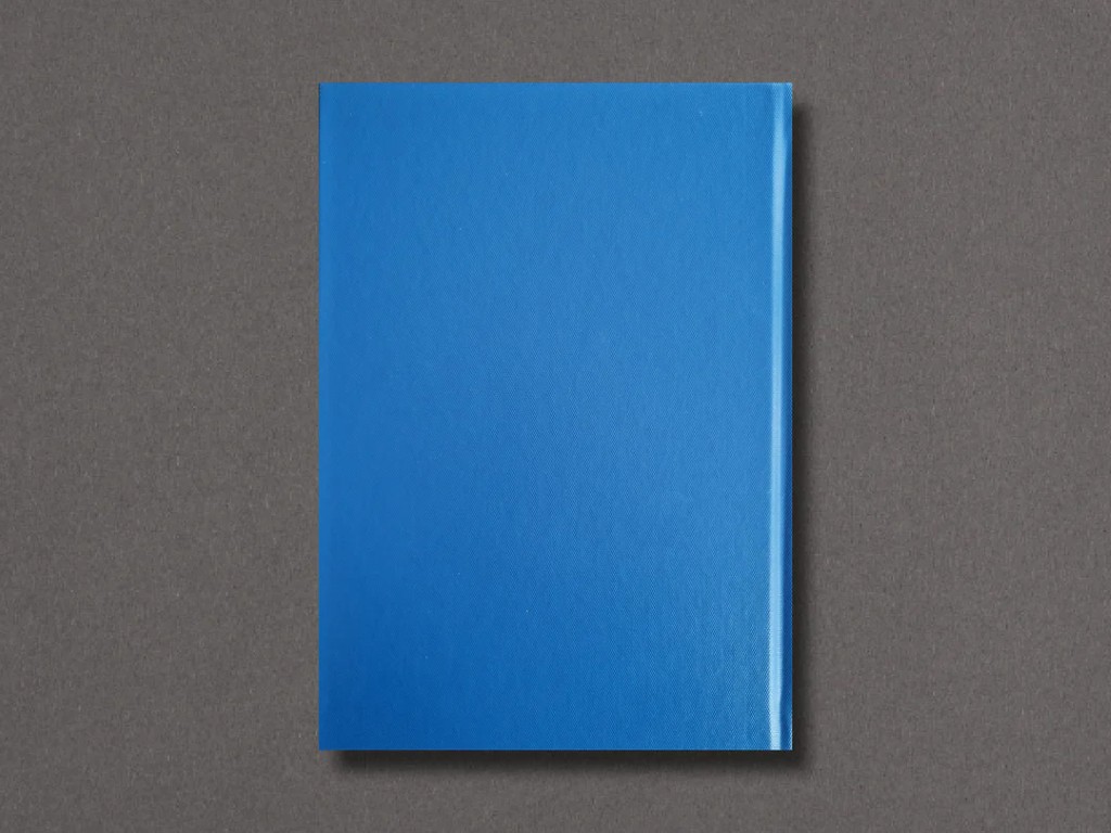 Paola Franqui a.k.a Monaris : Collecting Hands (SIGNÉ)