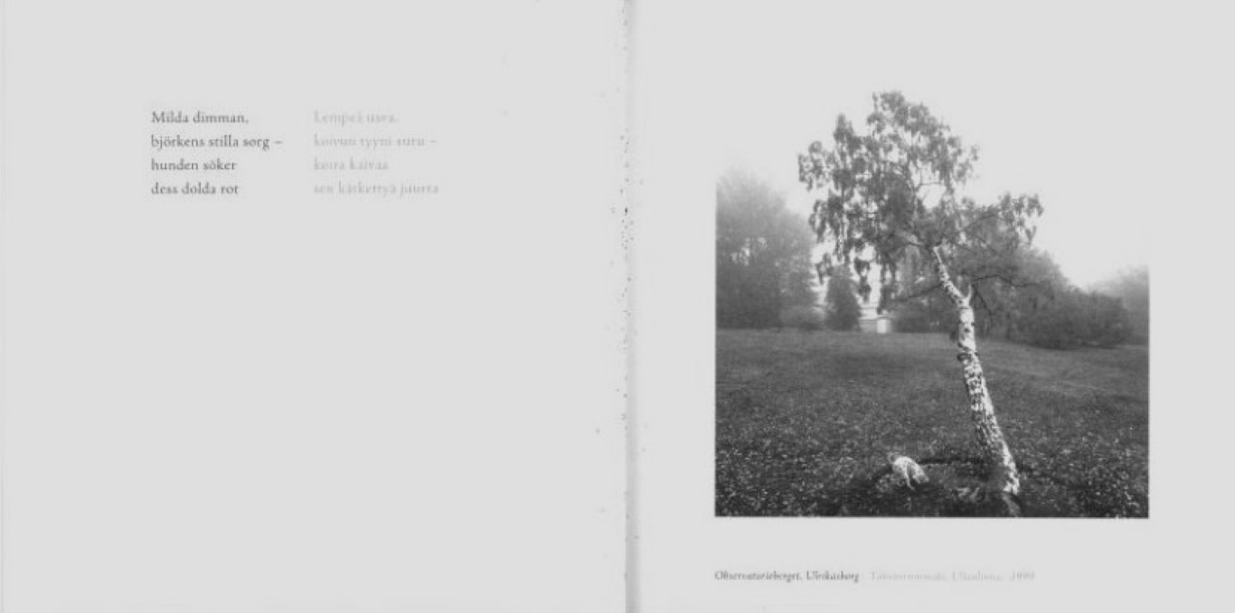 Pentti Sammallahti : Staden Kaupunki / La Ville / The City