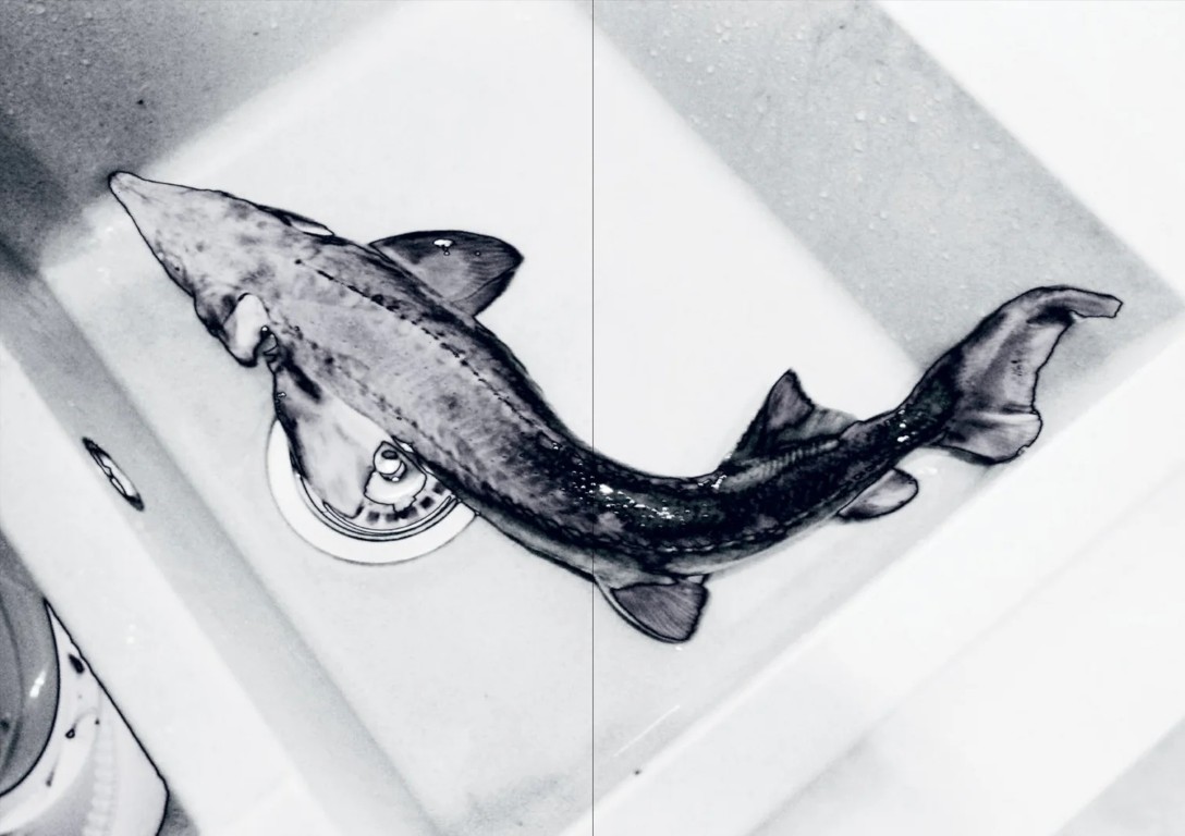 Kristina Podobed : Kristina 18