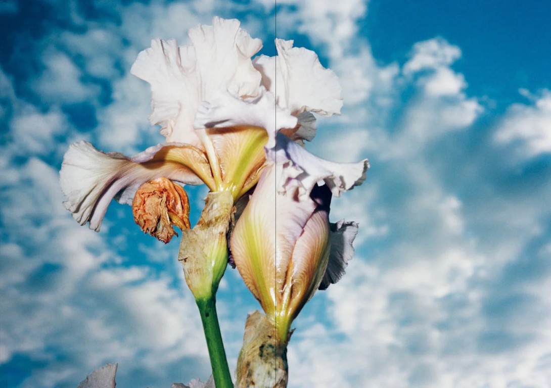 Kristina Podobed : Kristina 18