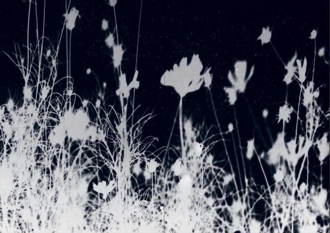 Kristina Podobed : Kristina 18