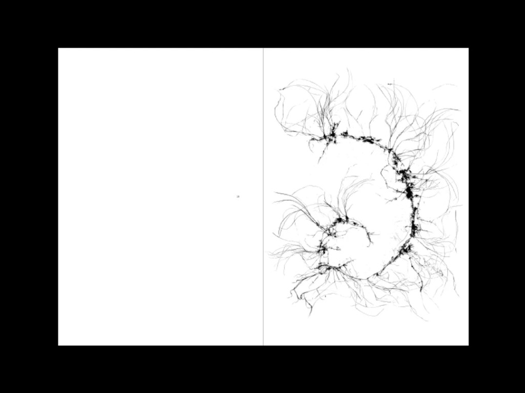 Sophie Zénon : L'herbe aux yeux bleux (COLLECTOR)