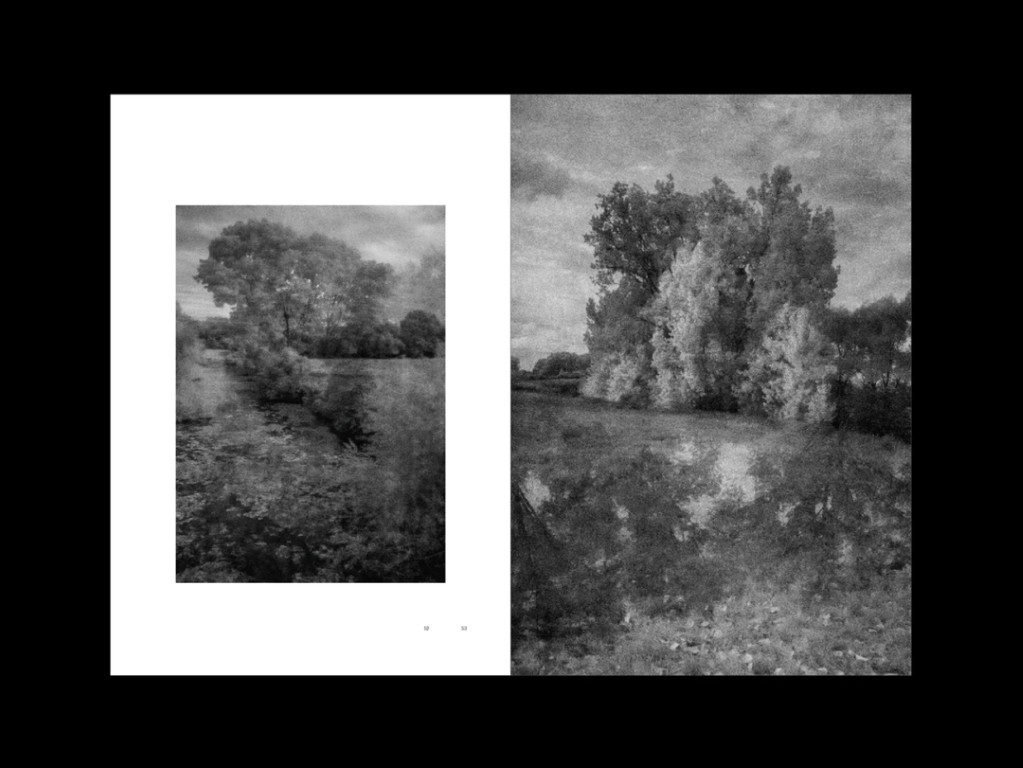 Sophie Zénon : L'herbe aux yeux bleux (COLLECTOR)