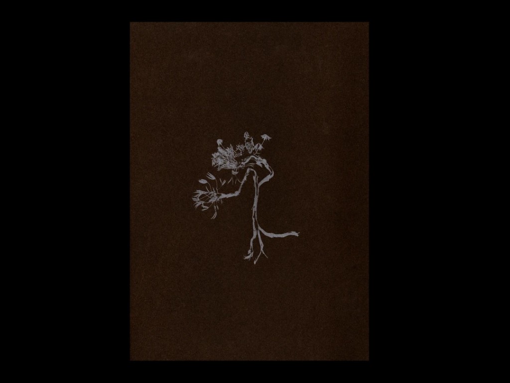 Sophie Zénon : L'herbe aux yeux bleux (COLLECTOR)