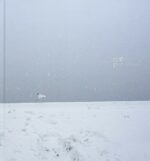 Akiko Sudo : Nanayuki