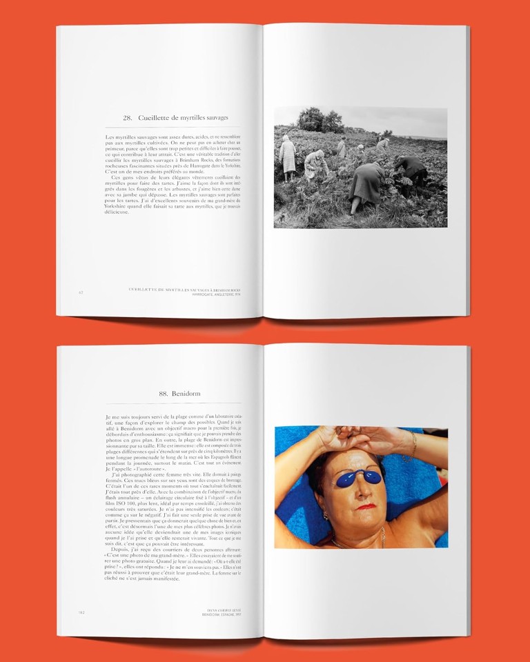 Martin Parr : Complètement paresseux et étourdi