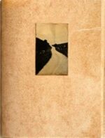 Juanan Requena : El vuelo lleva al vuelo